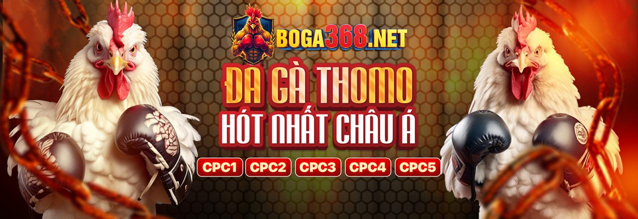 Đa dạng trận đấu đá gà trực tuyến tại ON88