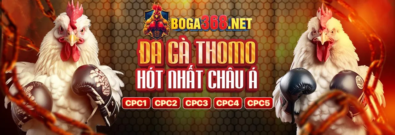 Đa dạng trận đấu đá gà trực tuyến tại ON88
