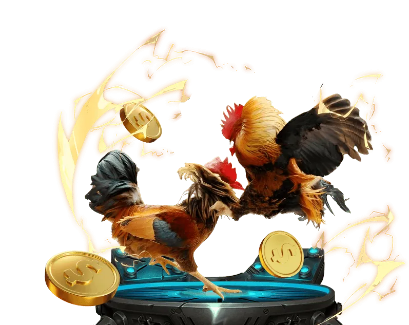 Đá gà ON88 với trận đấu kịch tính trong trường gà