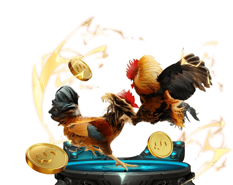 Đá gà trực tuyến ON88 với hình ảnh trường gà và chiến kê